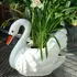 SWAN L - Vazo 16082, 3 image