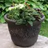 EDELWEISS ROUND M - Vazo 16154, 3 image