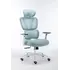 Karrige Zyre Gosmart 6007, kaltert 7