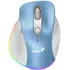 Maus Genius Ergo 9000S Pro, kaltert