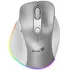 Maus Genius Ergo 9000S, hiri