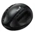 Maus Genius Ergo Wireless USB 8300S, zeze, 2 image
