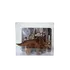 Lodër argëtuese, Dinosaur, 10 image