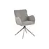 Karrige LDC-2461, bezhe