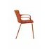 Karrige kopshti, F895, terracotta 9168, 2 image