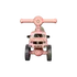 Lodër aktiviteti , Triciklete, 5 image