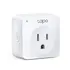 Prize mini Smart Tp-Link Socket  P100-1