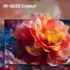 Televizor Hisense 40" 40A5S QLED Full HD, 5 image