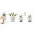 Set 4/1 self watering spikes 3.5 cm, 3 image